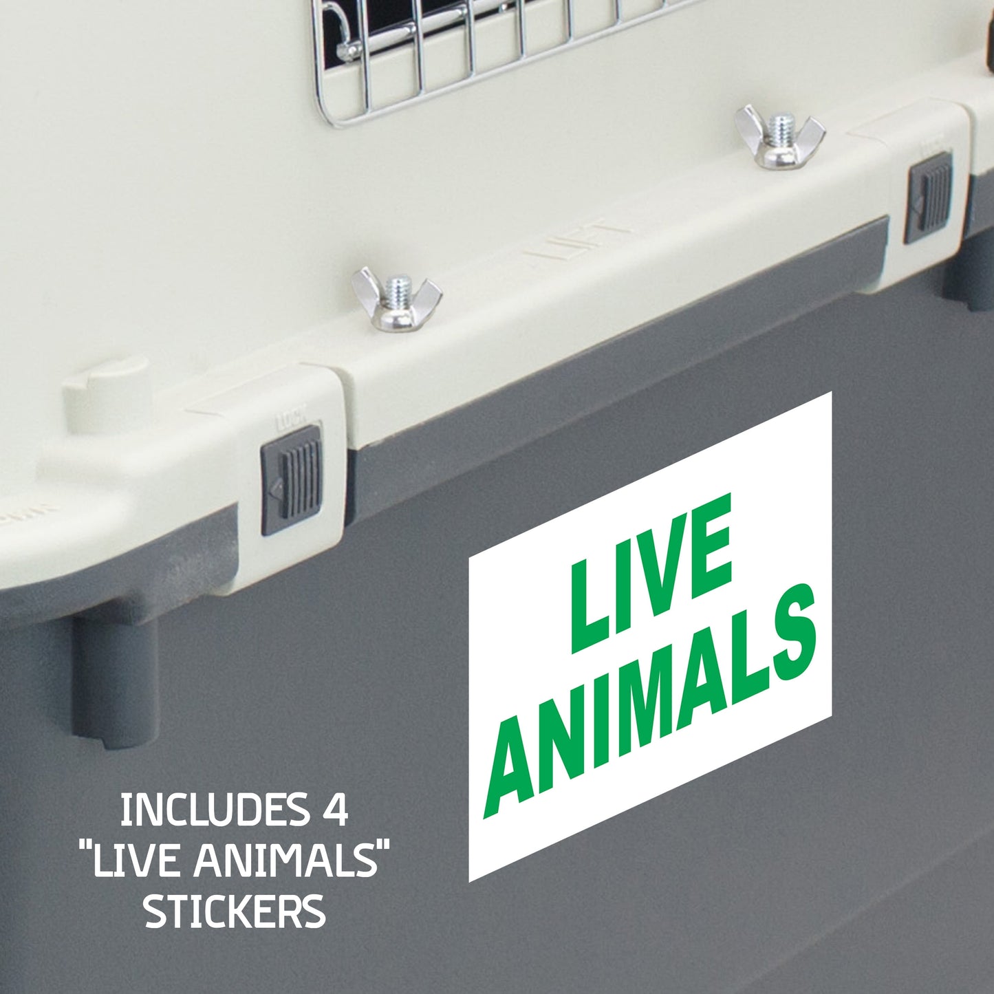 Airline Approved Plastic Dog Kennel with Wheels, Large