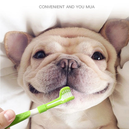 Pet Silicone Finger Toothbrush Dog Three-Head Toothbrush